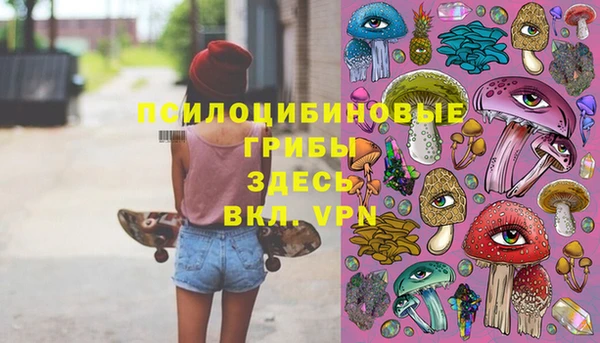 ПСИЛОЦИБИНОВЫЕ ГРИБЫ Баксан