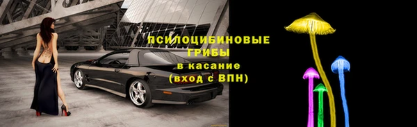 крисы Каменка