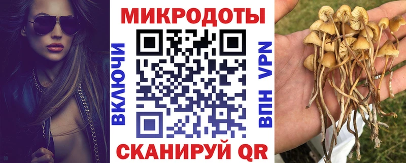 Псилоцибиновые грибы Magic Shrooms  Волгореченск 