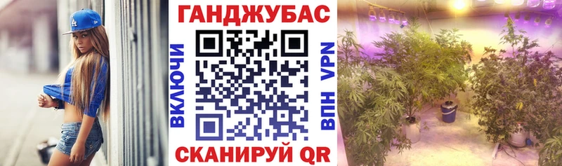 Каннабис SATIVA & INDICA  где продают наркотики  Волгореченск 